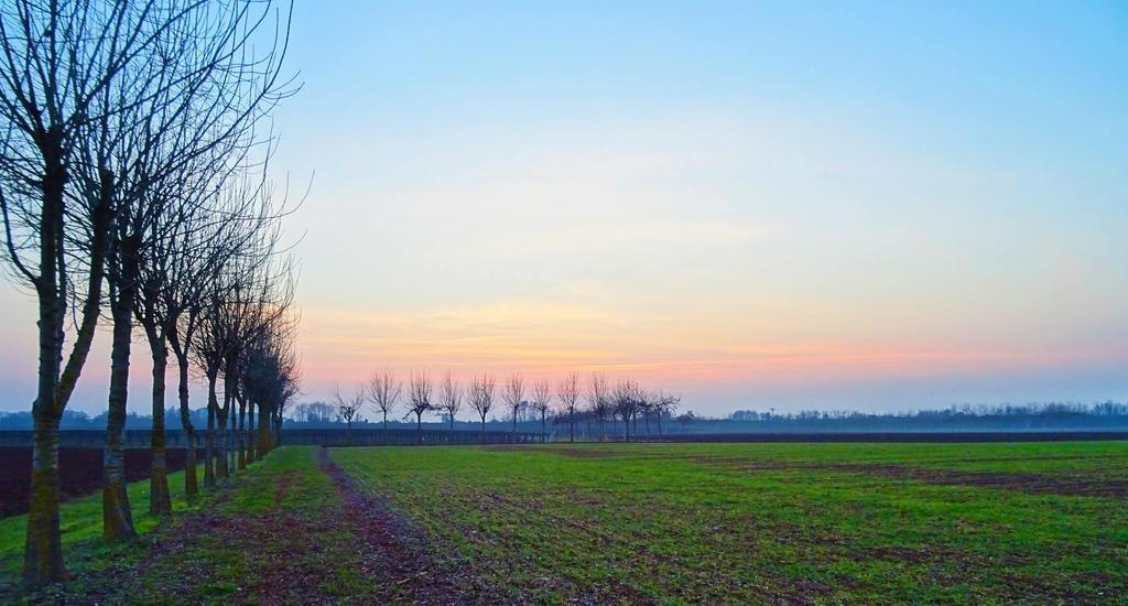 Agriturismo Paradiso Sarego Buitenkant foto